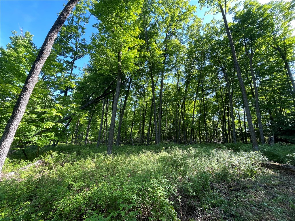 Lot 8 Crane Lane Hayward WI 54843 - Tiger Cat 1582551 image34