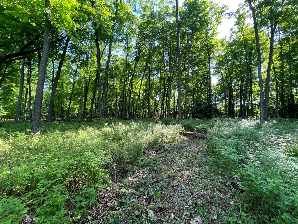 Lot 8 Crane Lane Hayward WI 54843 - Tiger Cat 1582551 image35