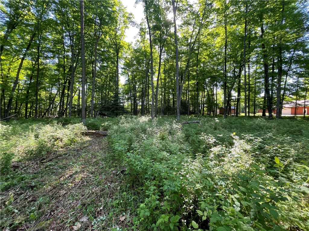 Lot 8 Crane Lane Hayward WI 54843 - Tiger Cat 1582551 image36