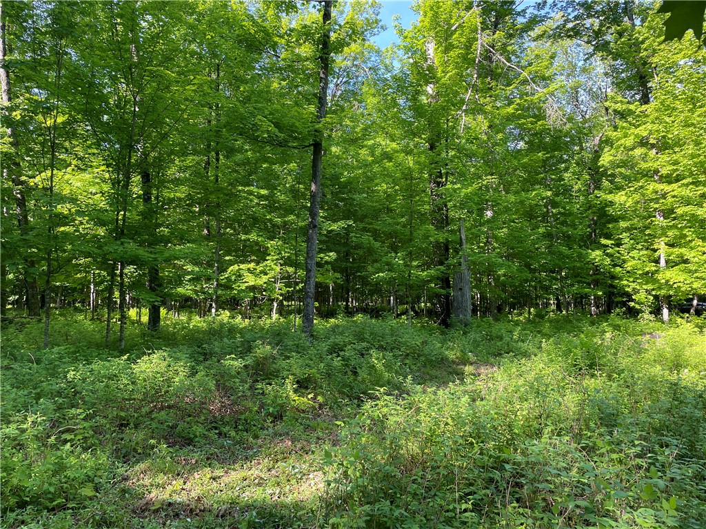 Lot 8 Crane Lane Hayward WI 54843 - Tiger Cat 1582551 image37