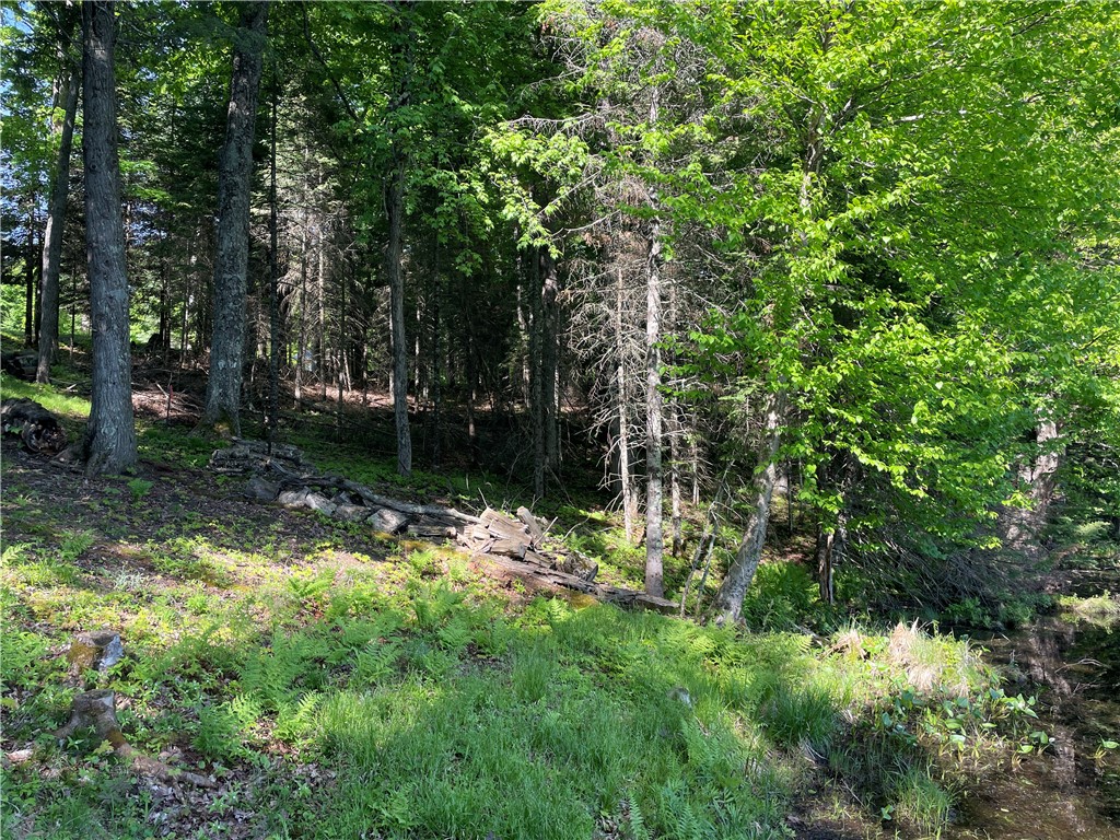 Lot 8 Crane Lane Hayward WI 54843 - Tiger Cat 1582551 image7
