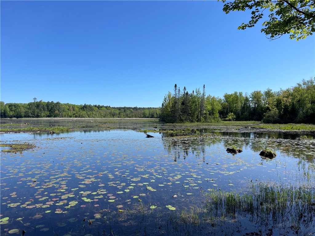 Lot 8 Crane Lane Hayward WI 54843 - Tiger Cat 1582551 image8