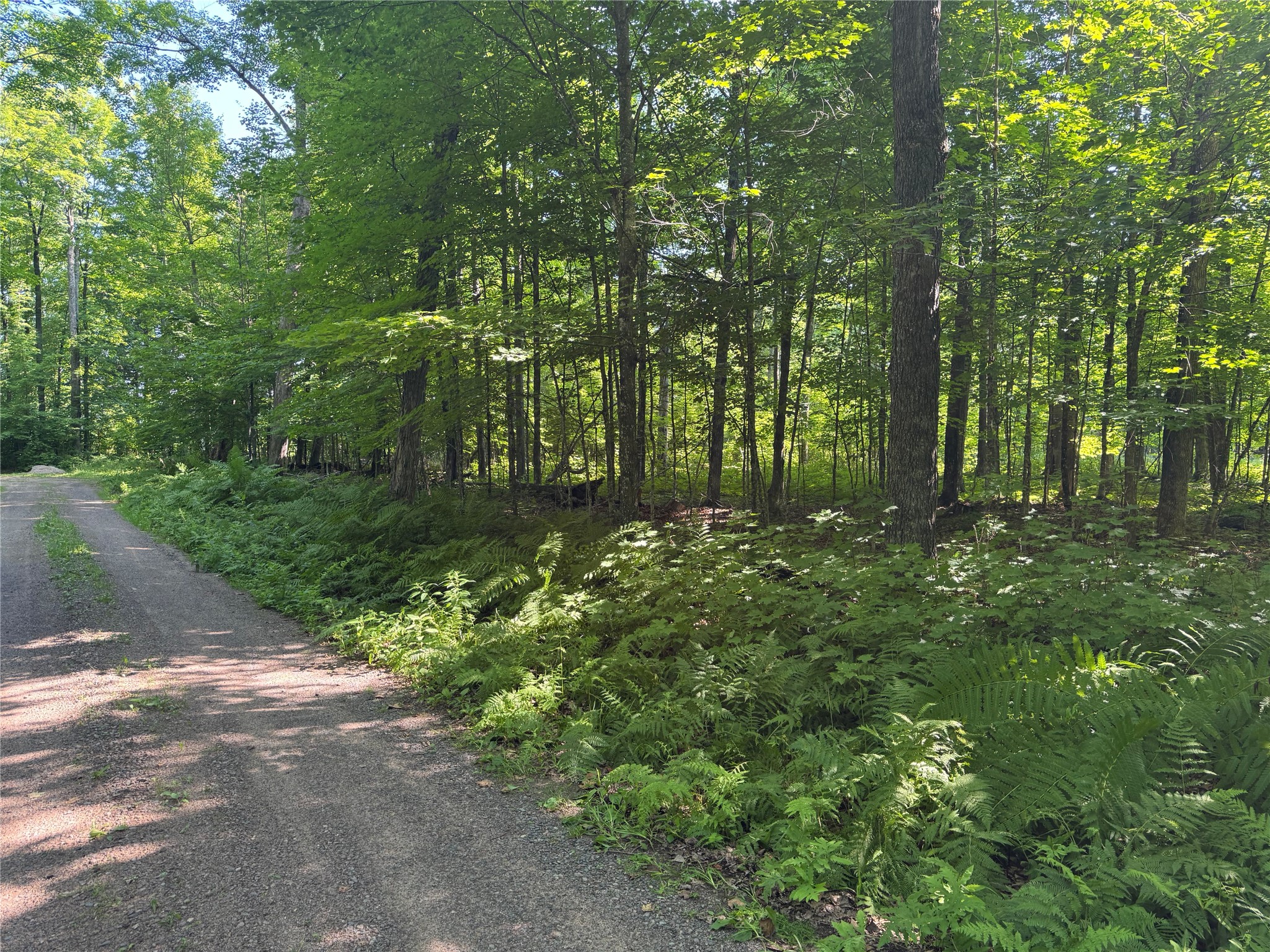 Lot 8 Crane Lane Hayward WI 54843 - Tiger Cat 1603375 image12