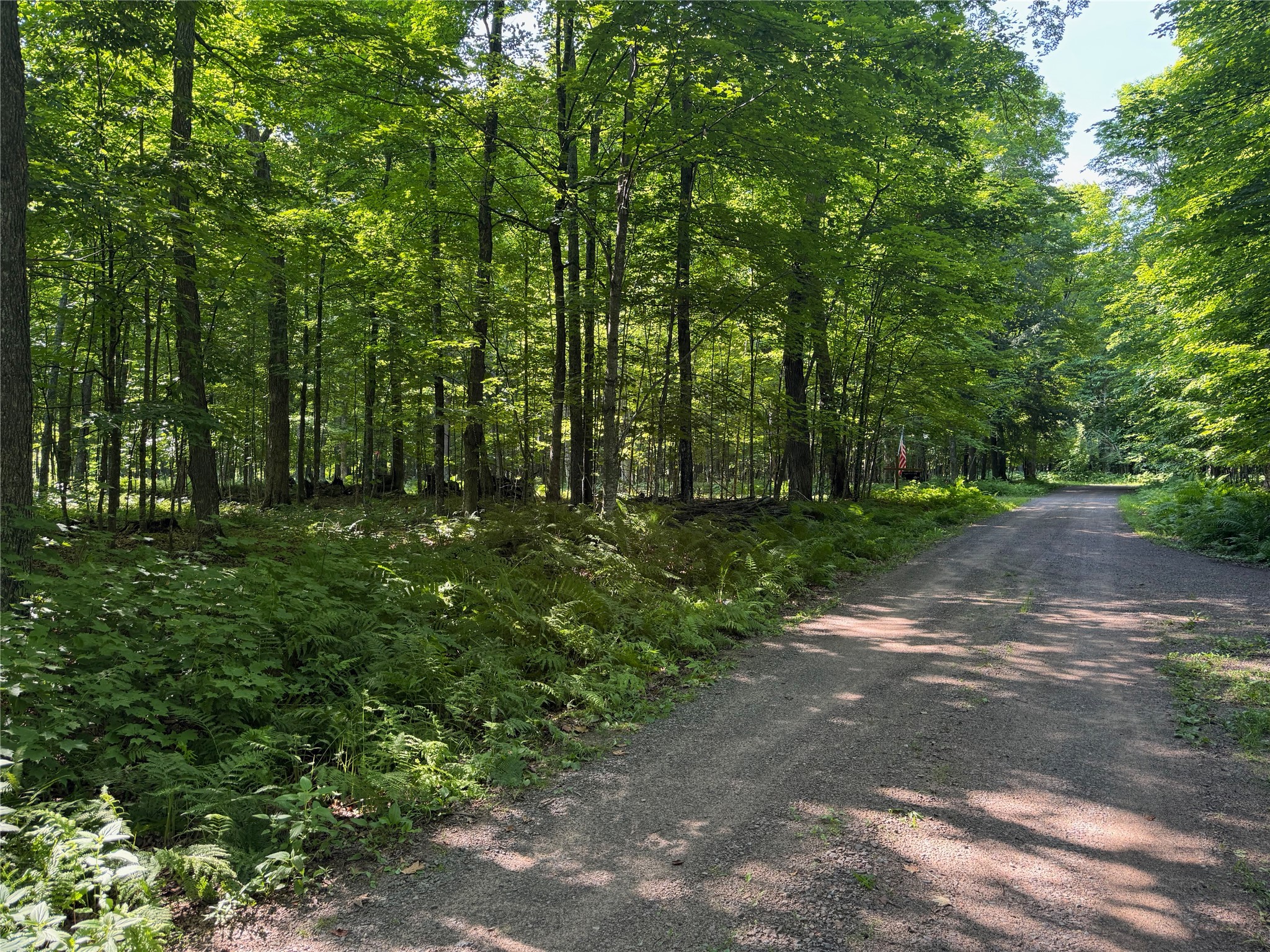 Lot 8 Crane Lane Hayward WI 54843 - Tiger Cat 1603375 image13