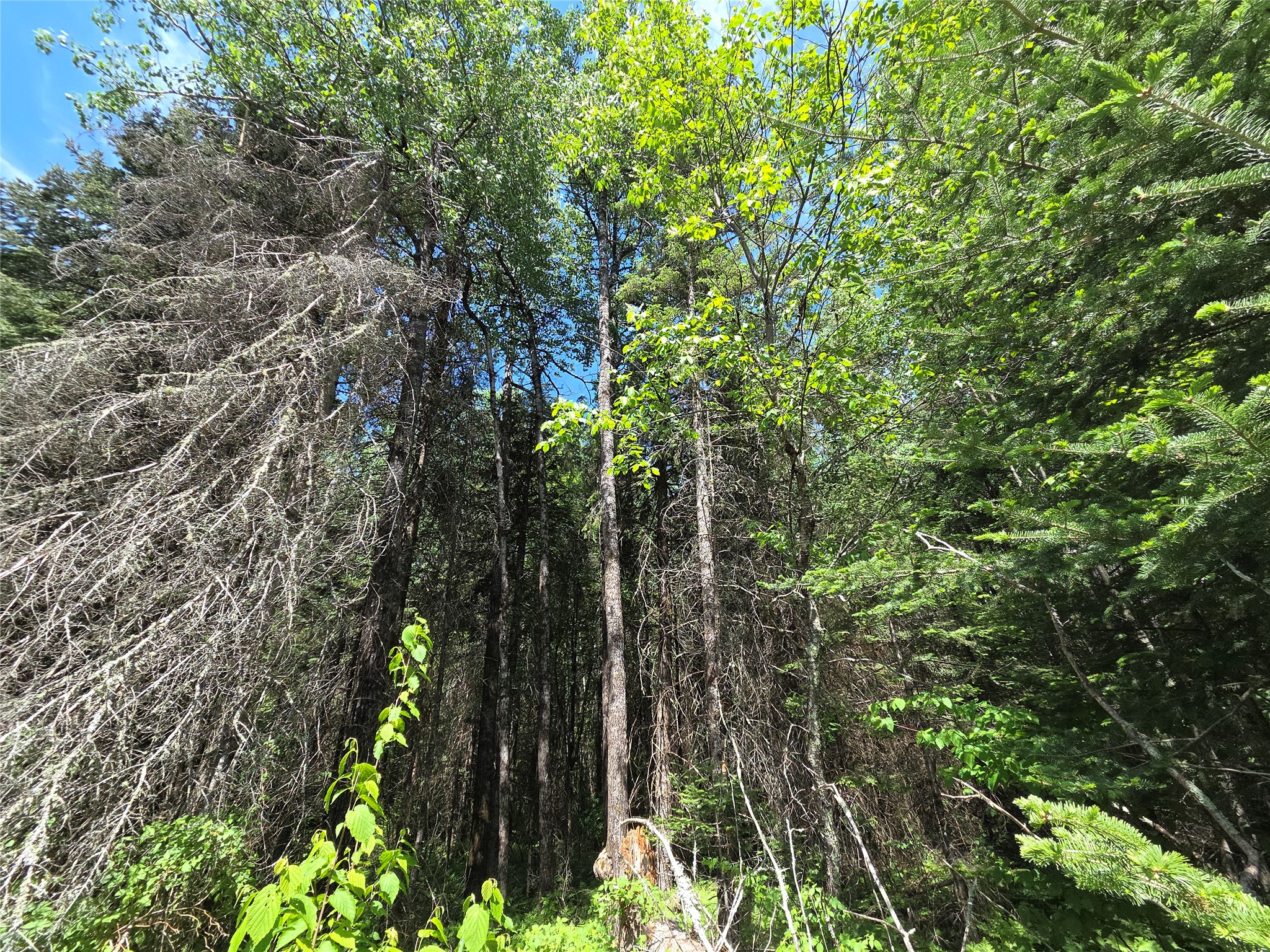 Lot 8 E Solberg Lake Road Phillips WI 54555 1601659 image1