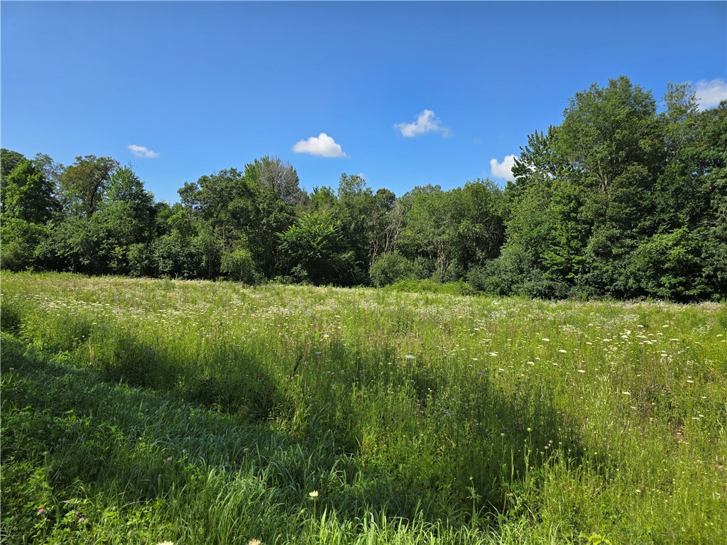 Lot 8 Hemlock Road Eleva WI 54738 1584282 image2