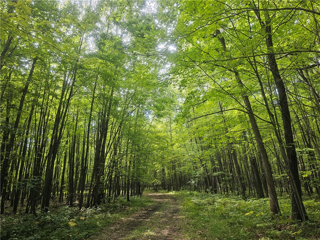 Lot 8 Ken Can Lane Webster WI 54893 1595421 image1