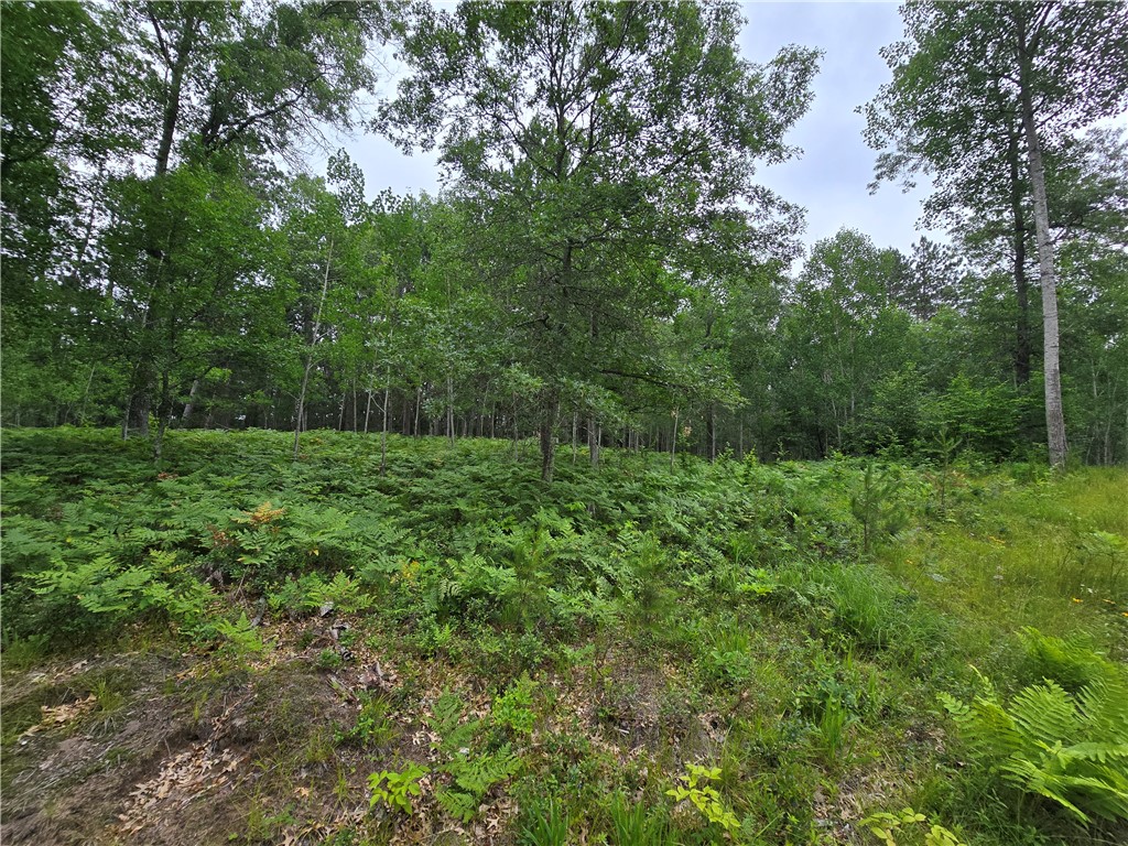 Lot 8 Saylors Lane Siren WI 54872 - Clam 1582553 image1