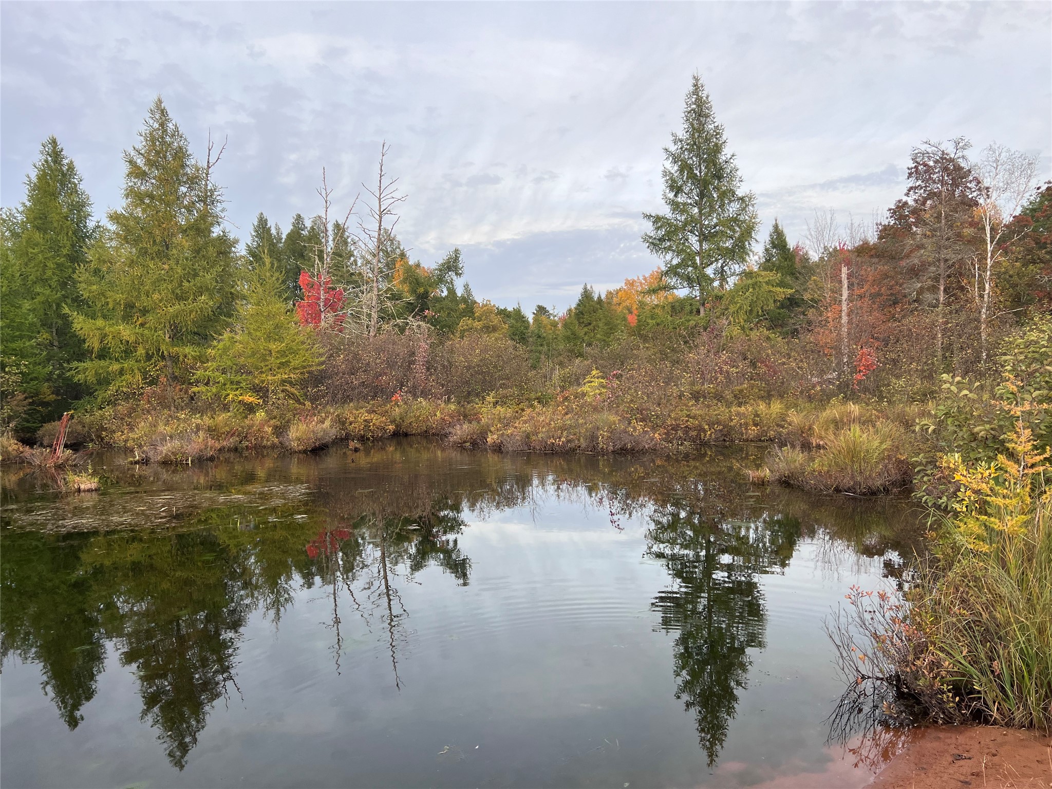 Lot 8 Secluded Lane Gordon WI 54838 - Cranberry 1602293 image5