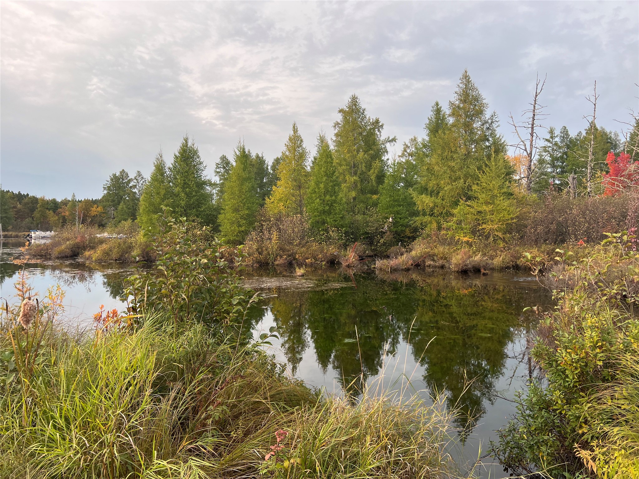 Lot 8 Secluded Lane Gordon WI 54838 - Cranberry 1602293 image7