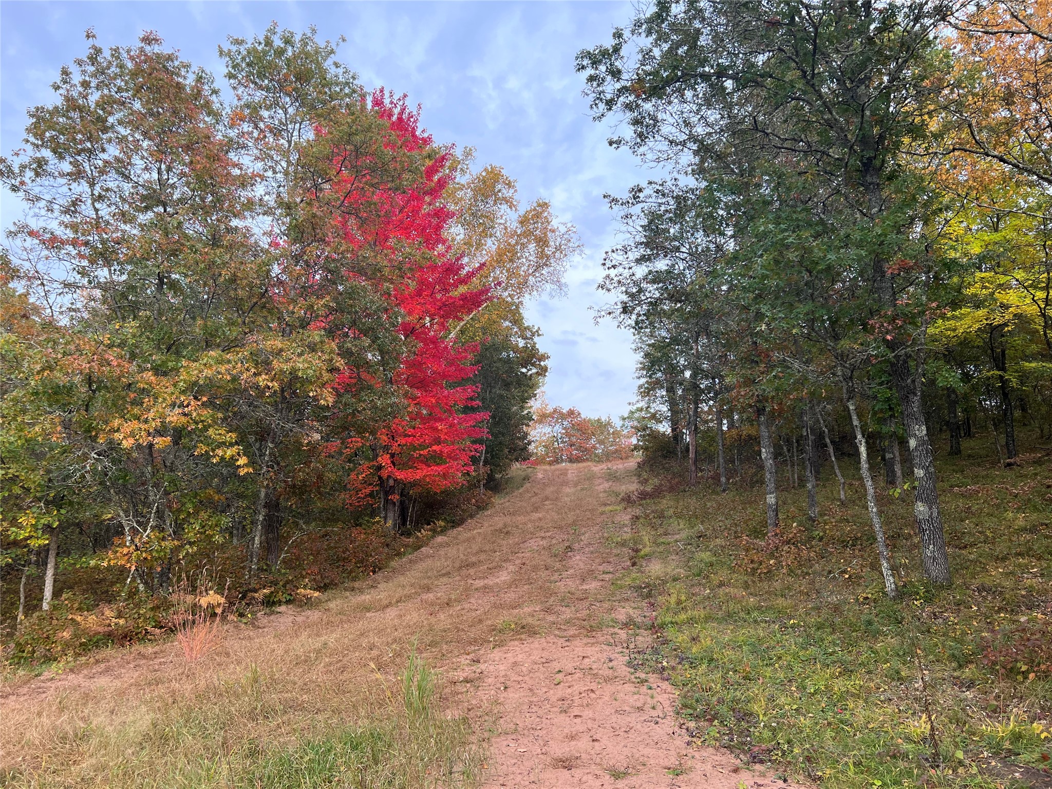 Lot 8 Secluded Lane Gordon WI 54838 - Cranberry 1602293 image8