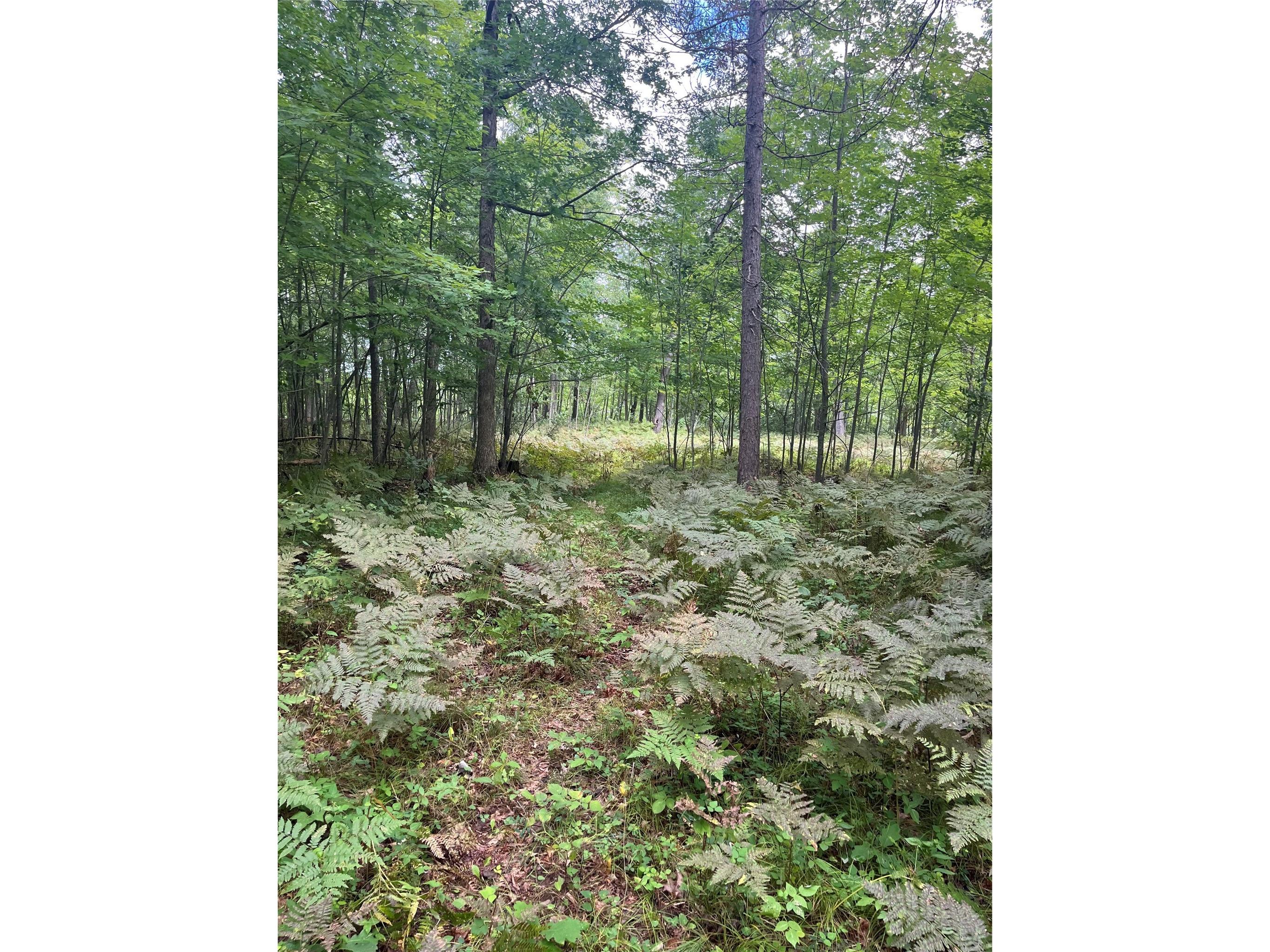 Lot 82 Aspen Terrace Danbury WI 54830 1602310 image14