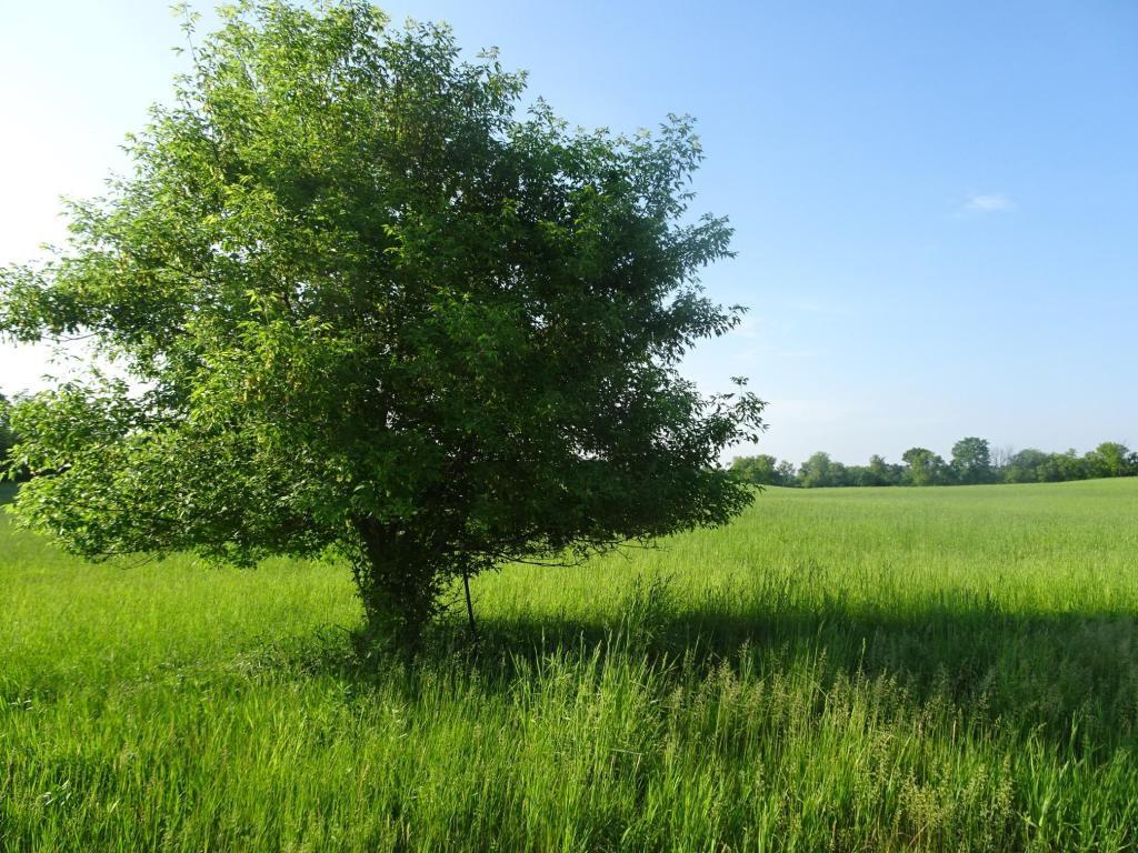 Lot 9 148th Avenue Balsam Lake WI 54810 1574828 image1