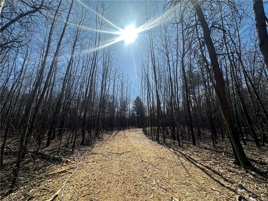 Lot 9 2.21+/- Acres 295th Street Holcombe WI 54745 1588278 image1