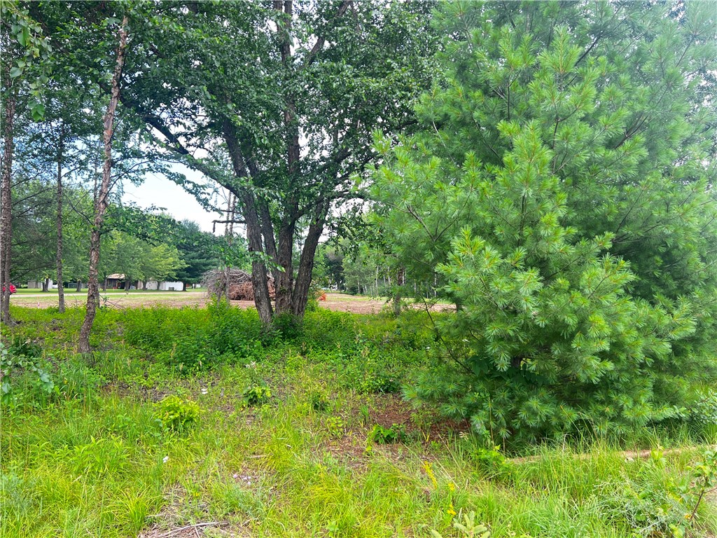 Lot 9 27th Court Chippewa Falls WI 54729 - Little Hallie 1583970 image19