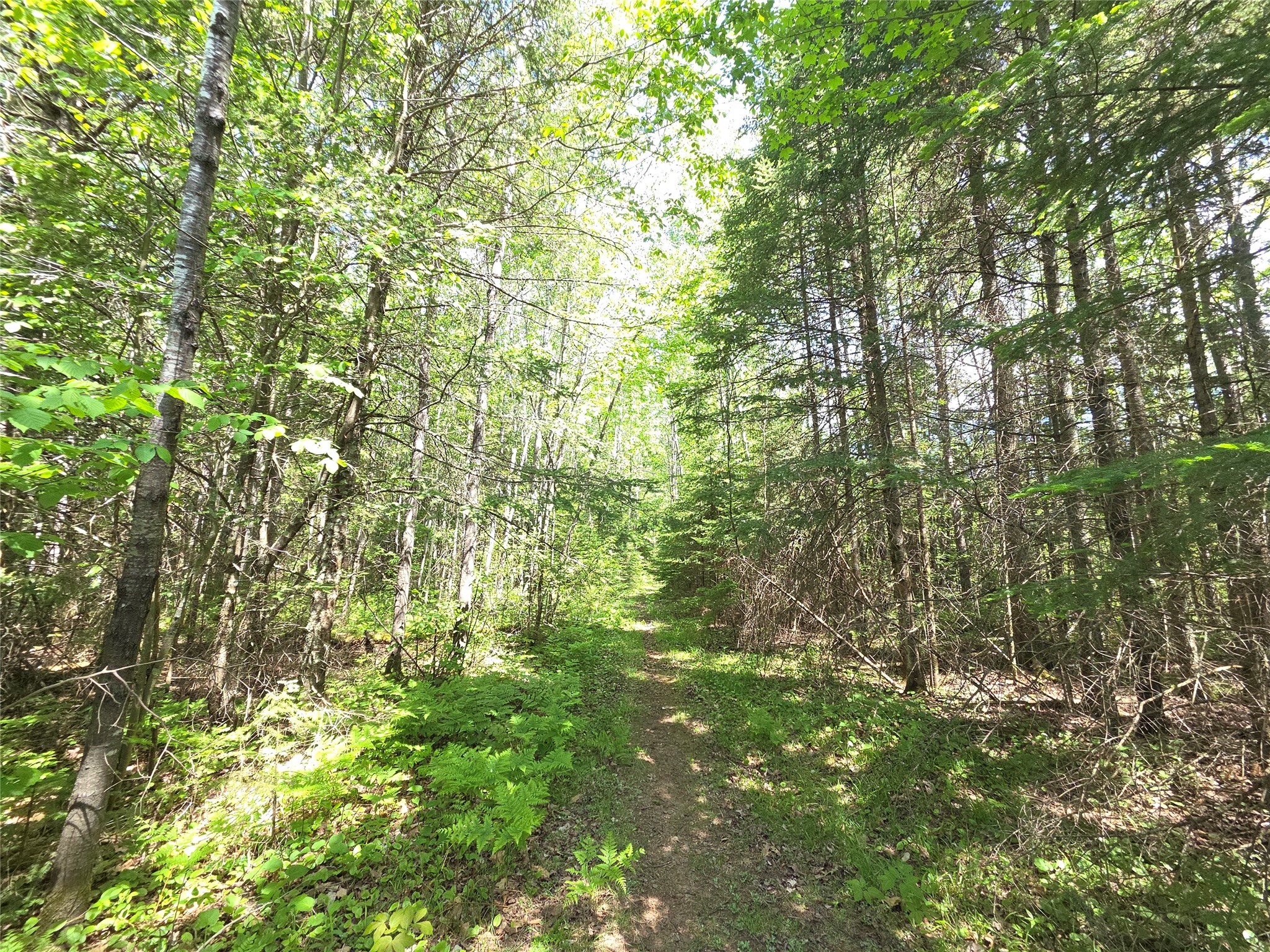 Lot 9 E Solberg Lake Road Phillips WI 54555 1601661 image1