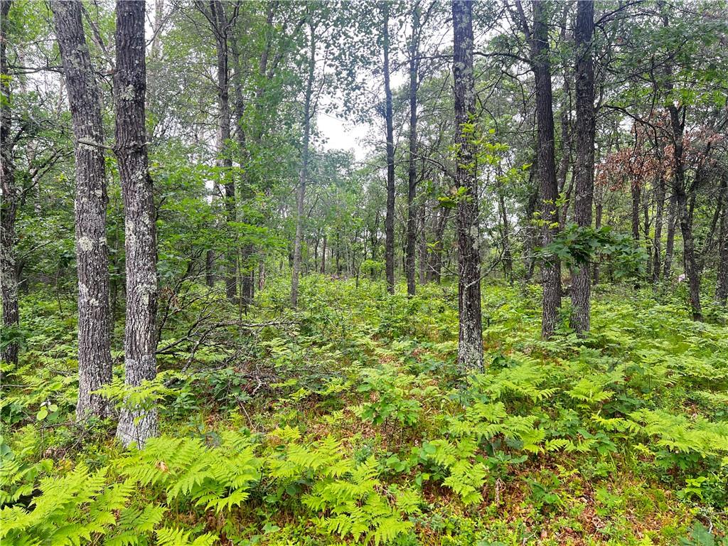 Lot 9 Flowage Road Minong WI 54859 1583576 image1