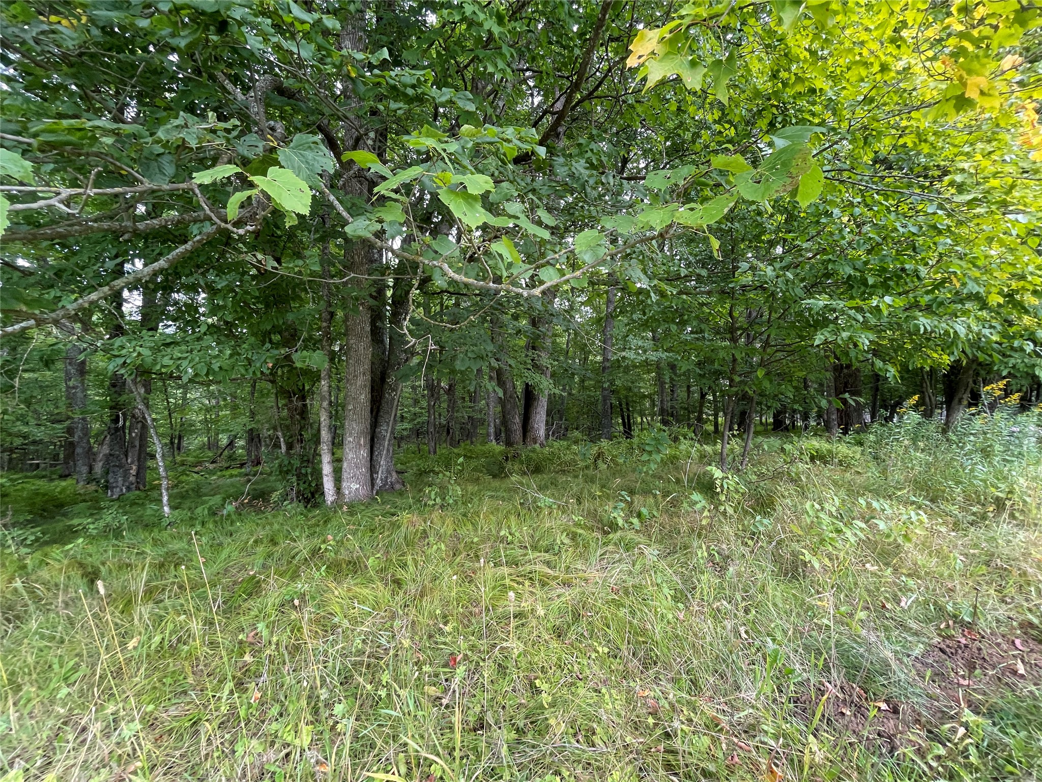 Lot 9 Hermosa Lane Hayward WI 54843 1600925 image1