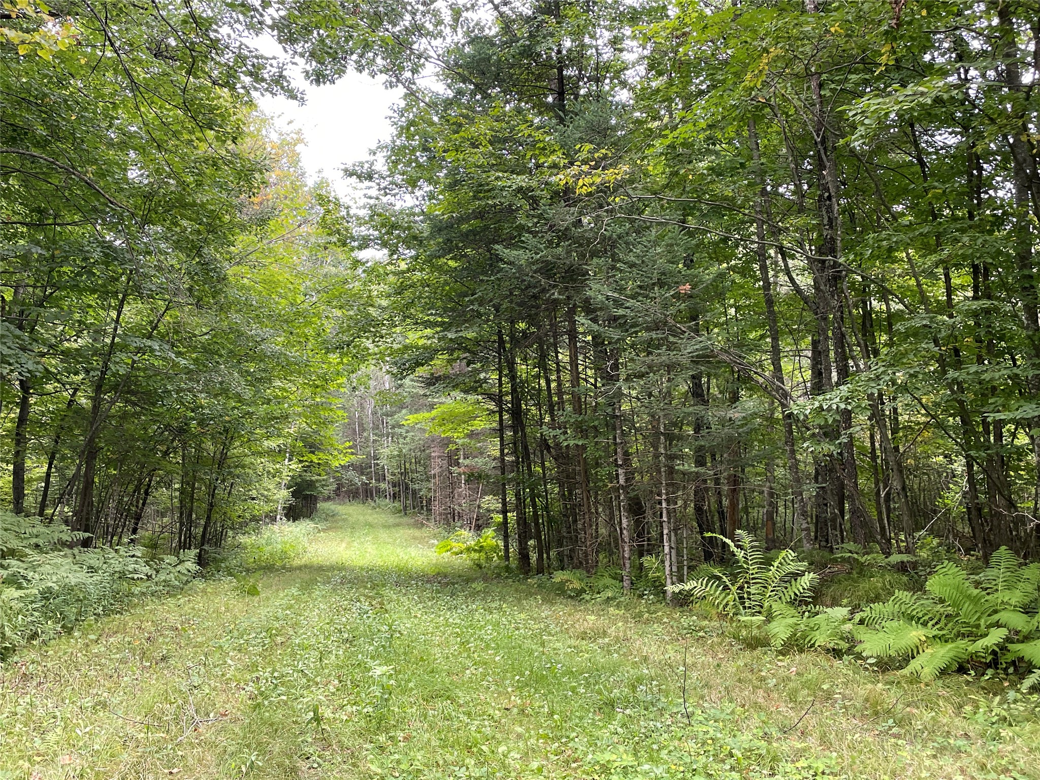 Lot 9 Hermosa Lane Hayward WI 54843 1600925 image10