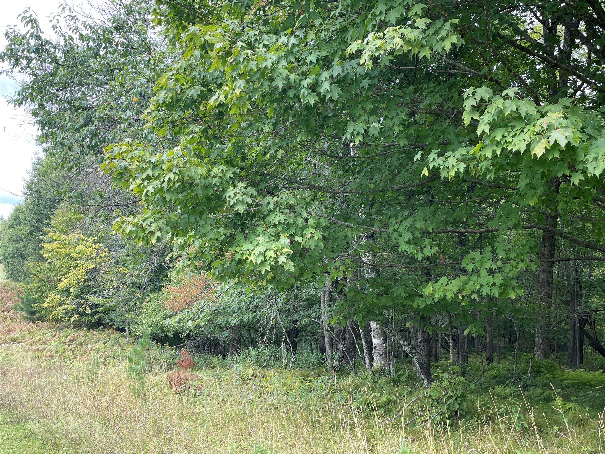 Lot 9 Hermosa Lane Hayward WI 54843 1600925 image2