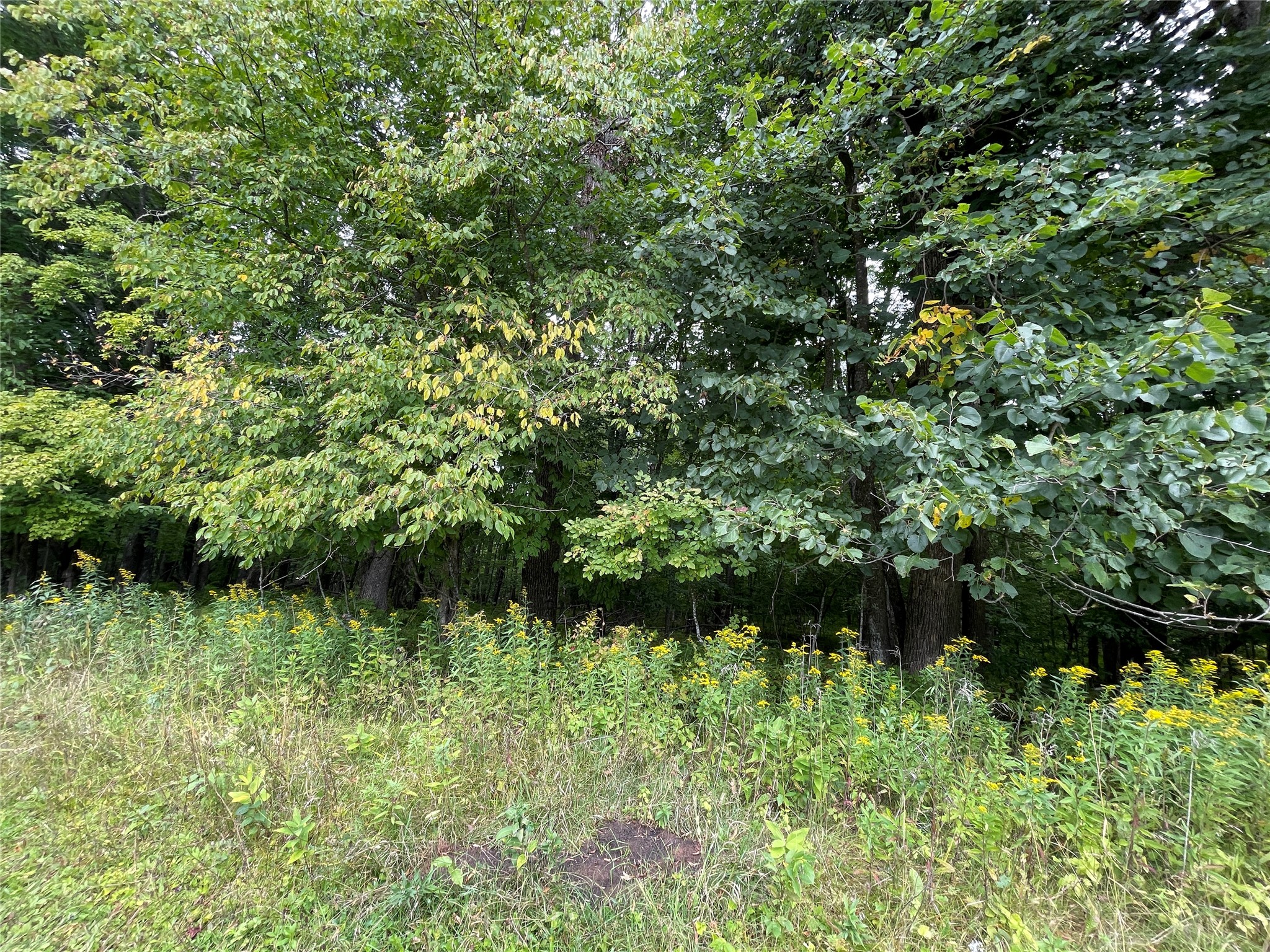 Lot 9 Hermosa Lane Hayward WI 54843 1600925 image6