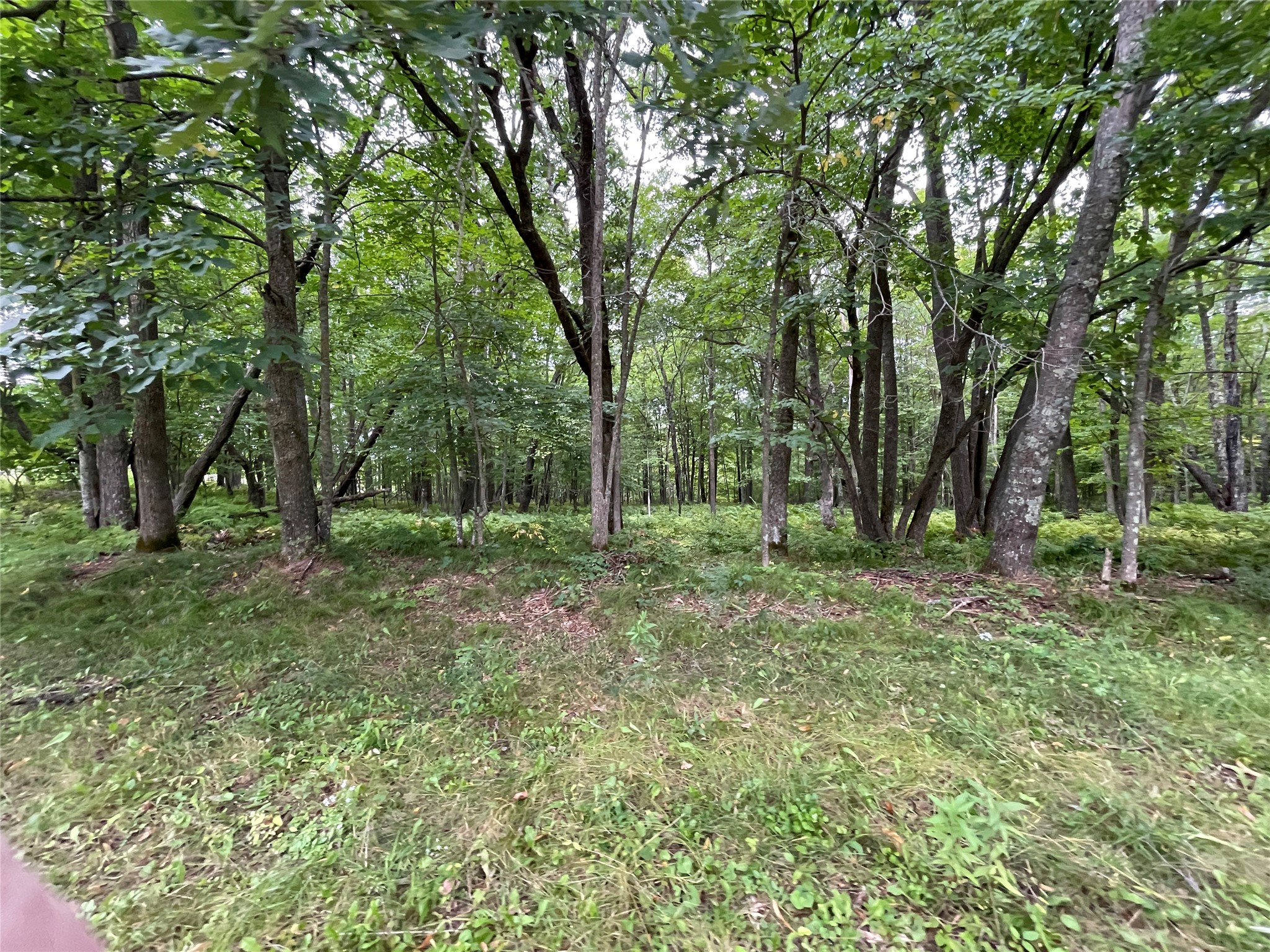 Lot 9 Hermosa Lane Hayward WI 54843 1600925 image7