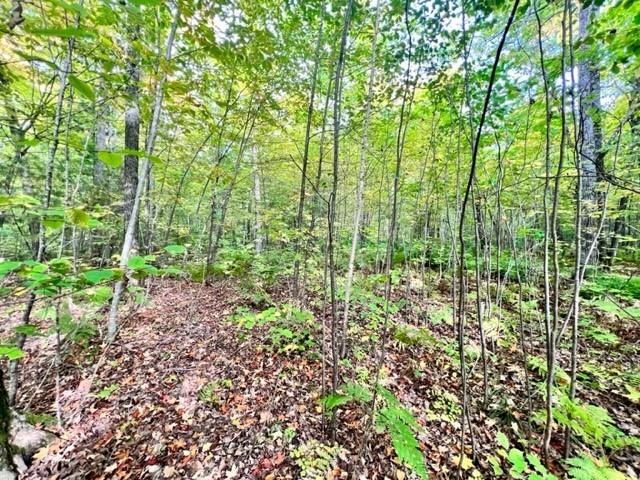 Lot 9 Peninsula Road Hayward WI 54843 1576983 image1