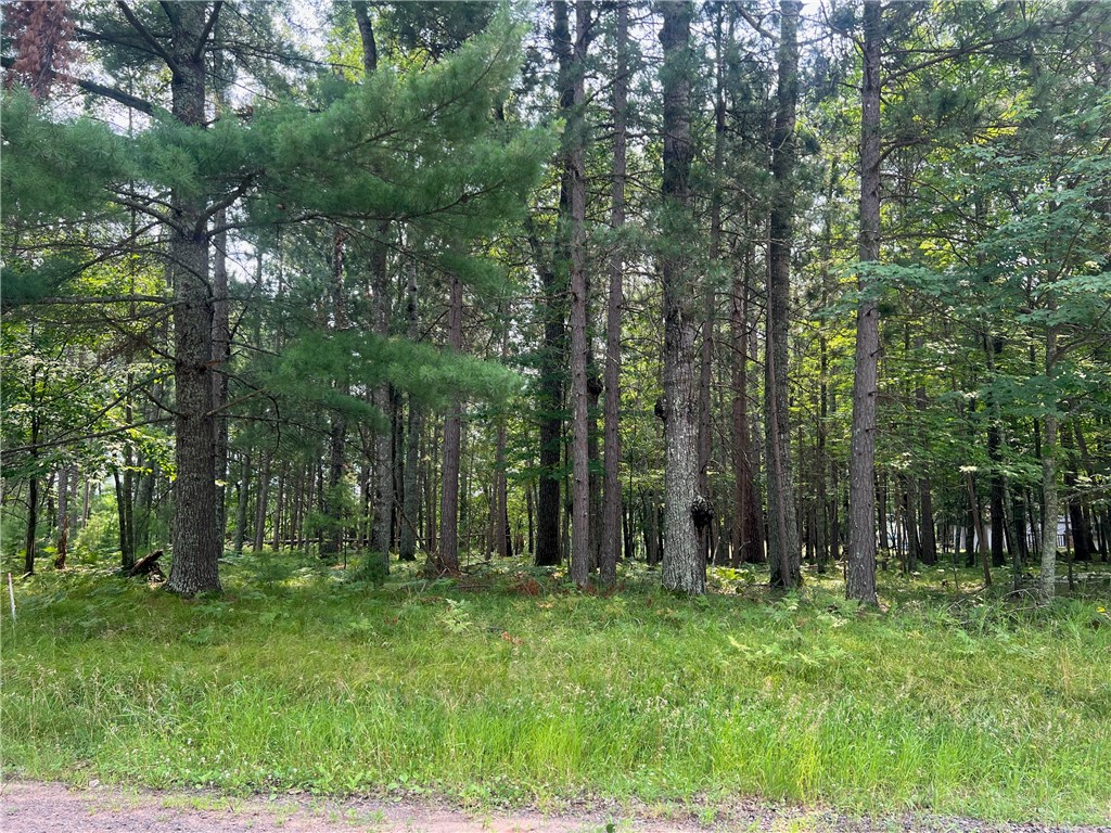 Lot 90 Redwing Trail Way Danbury WI 54830 1596985 image14