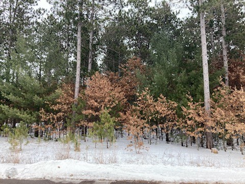 Lot 90 St. Andrews Park Eau Claire WI 54703 1578706 image1