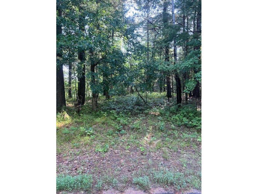 Lot 91 Three Mile Road Danbury WI 54830 1593531 image2
