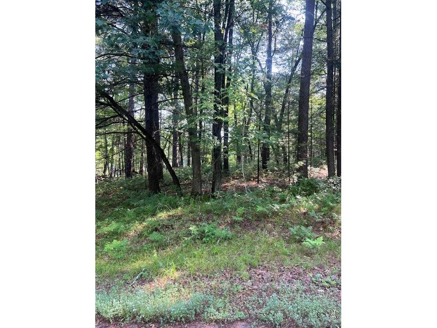 Lot 91 Three Mile Road Danbury WI 54830 1593531 image3