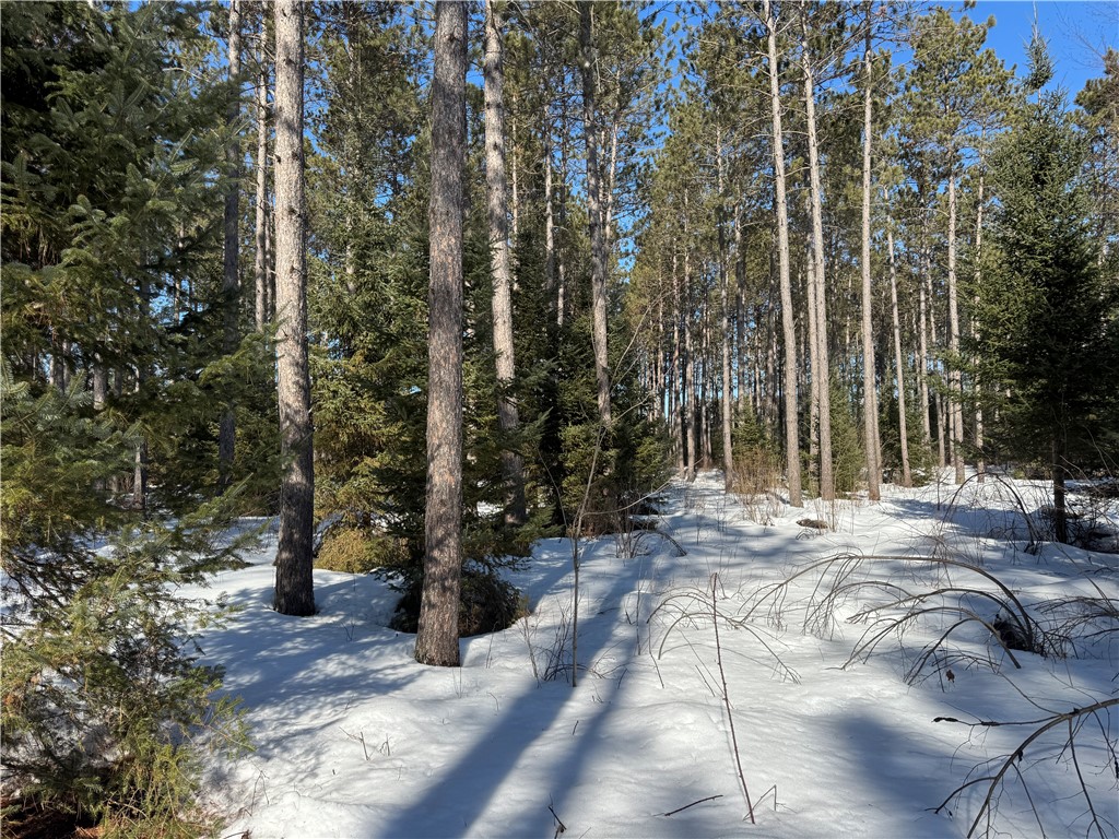 Lot 92 Haakon Lane Hayward WI 54843 1598406 image1