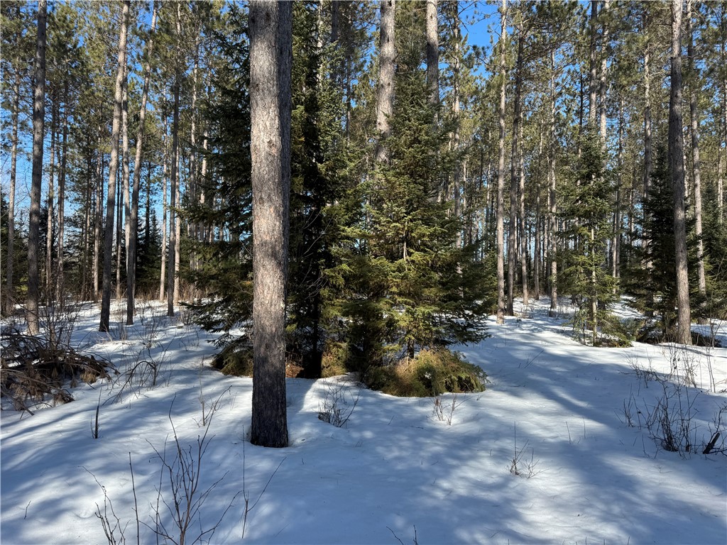 Lot 92 Haakon Lane Hayward WI 54843 1598406 image10