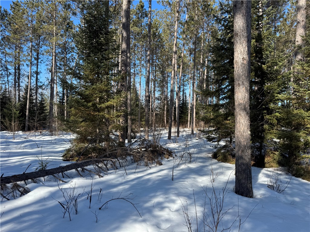 Lot 92 Haakon Lane Hayward WI 54843 1598406 image11
