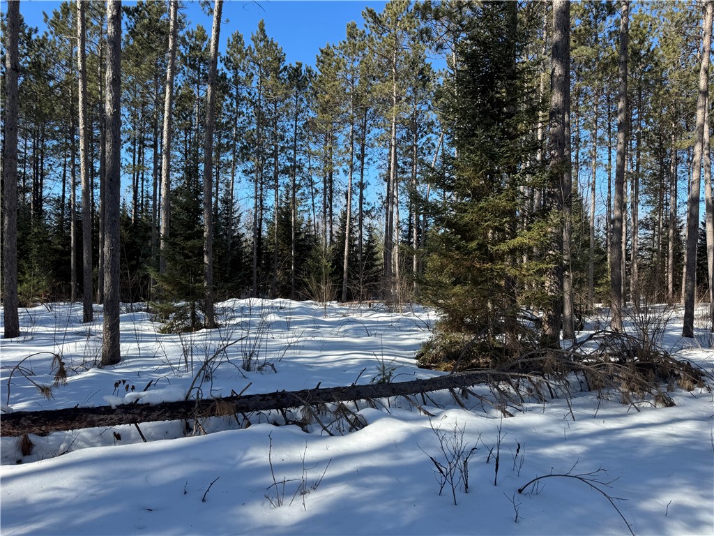 Lot 92 Haakon Lane Hayward WI 54843 1598406 image12