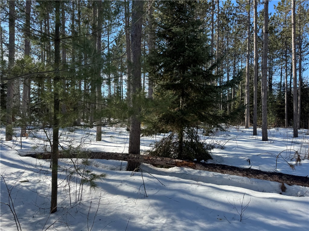 Lot 92 Haakon Lane Hayward WI 54843 1598406 image14
