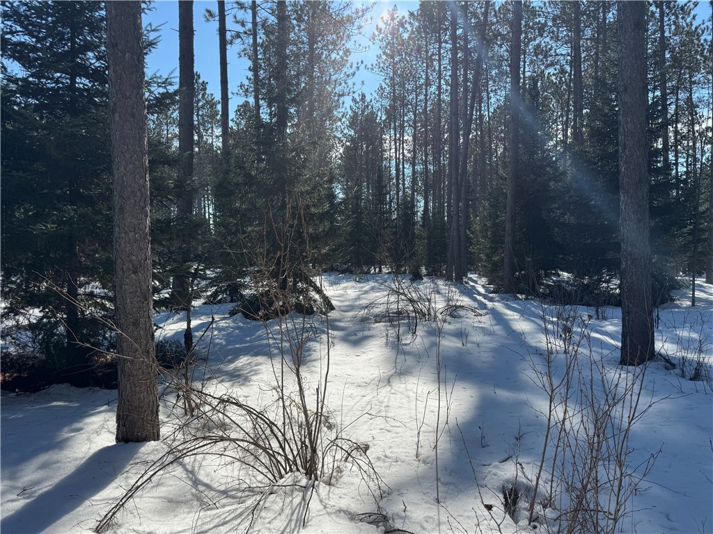 Lot 92 Haakon Lane Hayward WI 54843 1598406 image16