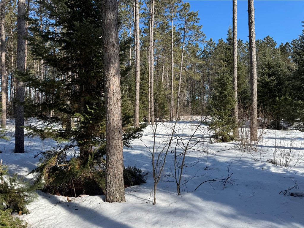 Lot 92 Haakon Lane Hayward WI 54843 1598406 image18