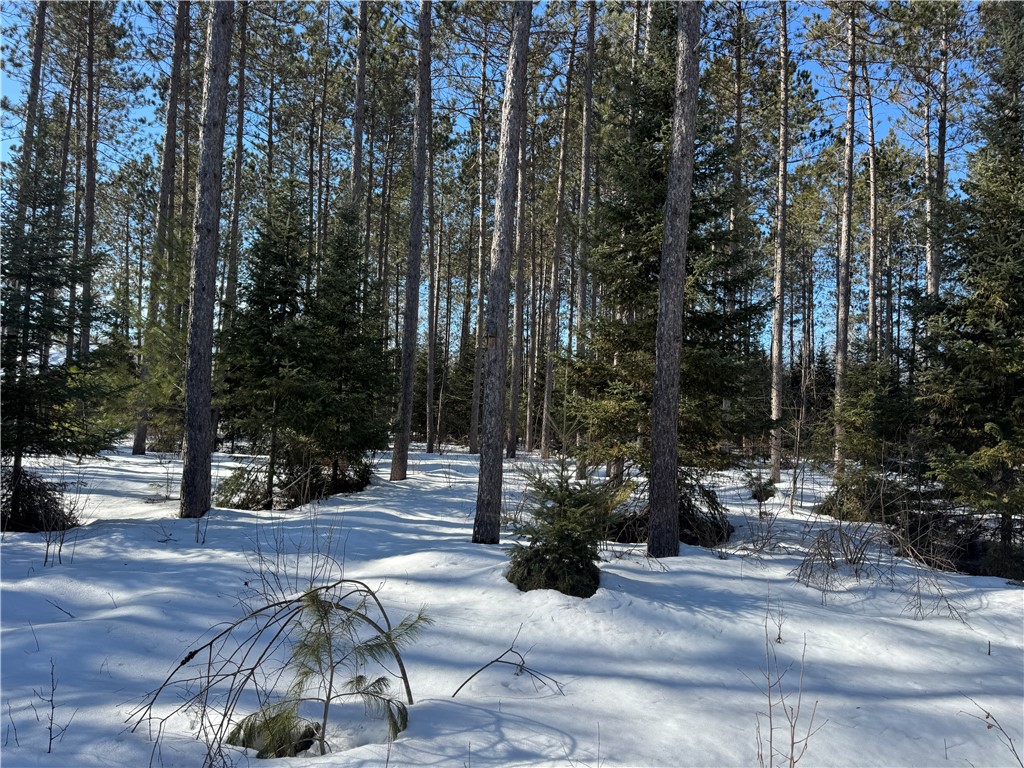 Lot 92 Haakon Lane Hayward WI 54843 1598406 image2