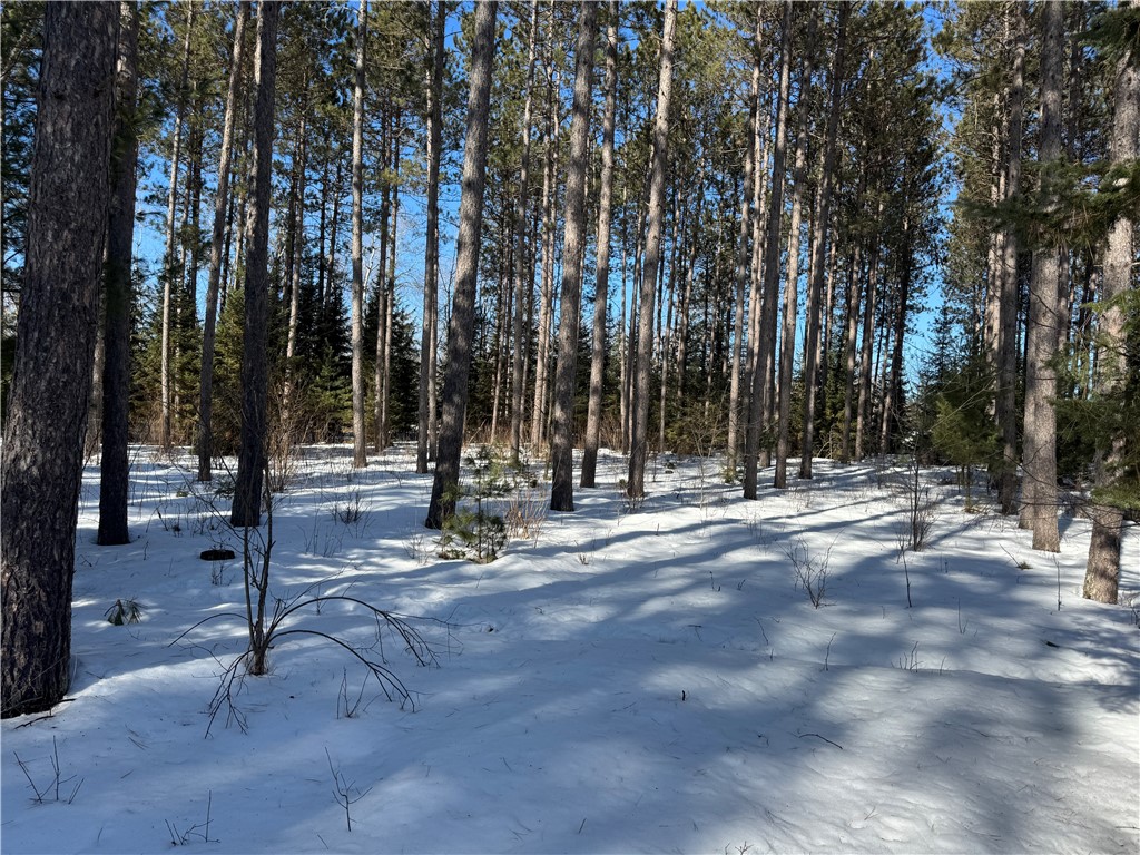 Lot 92 Haakon Lane Hayward WI 54843 1598406 image21