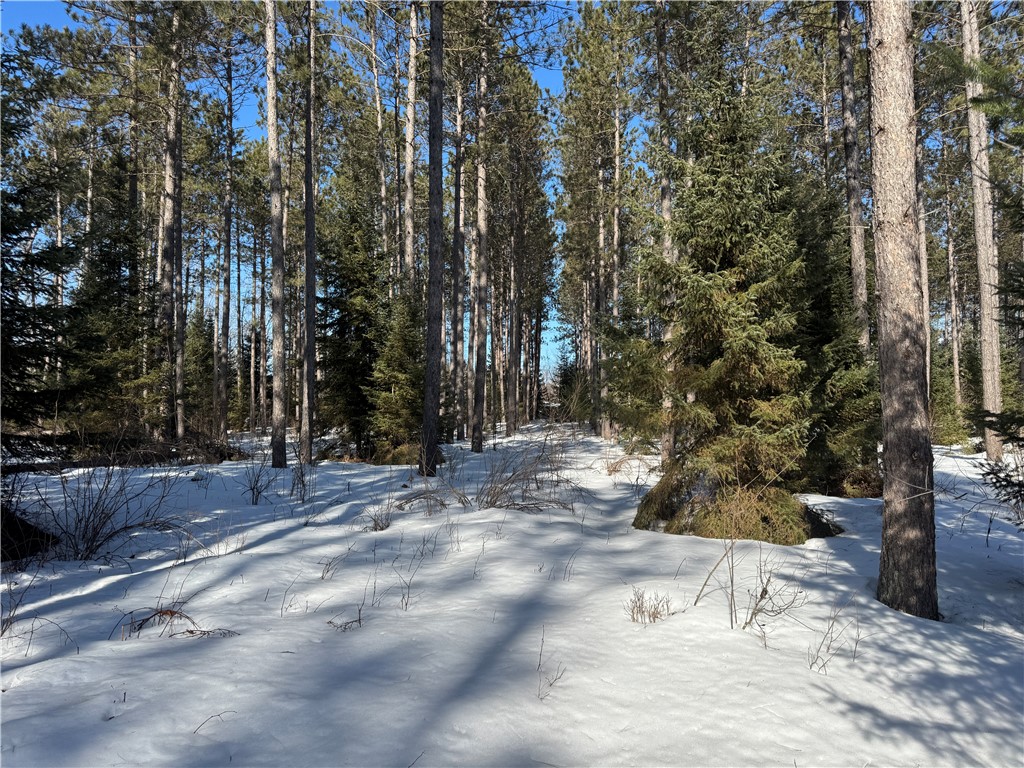 Lot 92 Haakon Lane Hayward WI 54843 1598406 image3