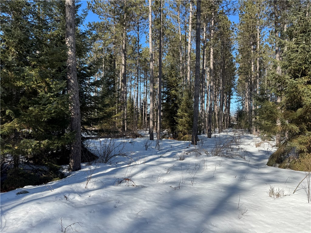 Lot 92 Haakon Lane Hayward WI 54843 1598406 image4