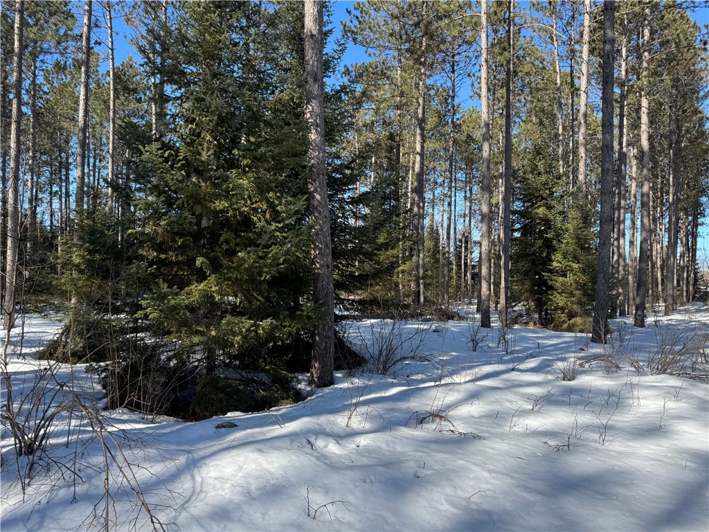 Lot 92 Haakon Lane Hayward WI 54843 1598406 image5