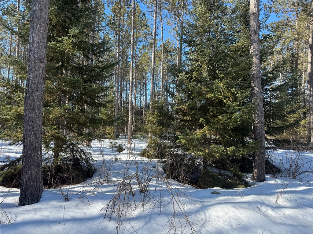 Lot 92 Haakon Lane Hayward WI 54843 1598406 image6