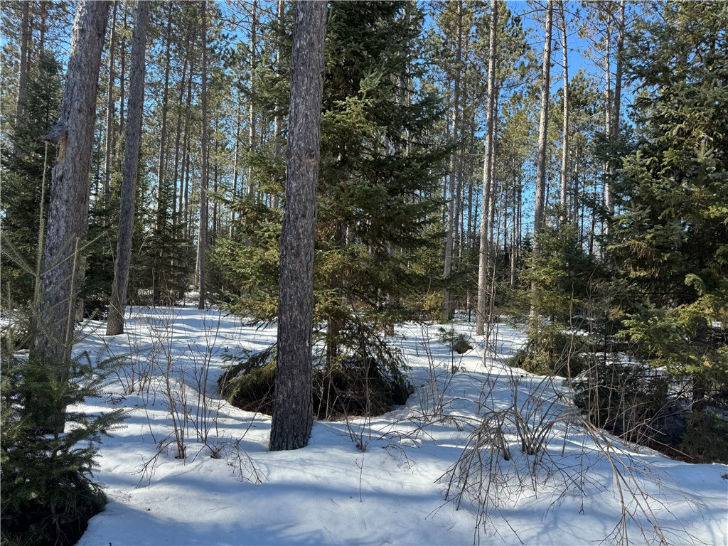 Lot 92 Haakon Lane Hayward WI 54843 1598406 image7