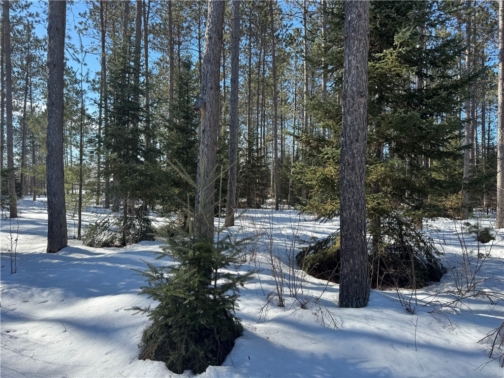 Lot 92 Haakon Lane Hayward WI 54843 1598406 image8