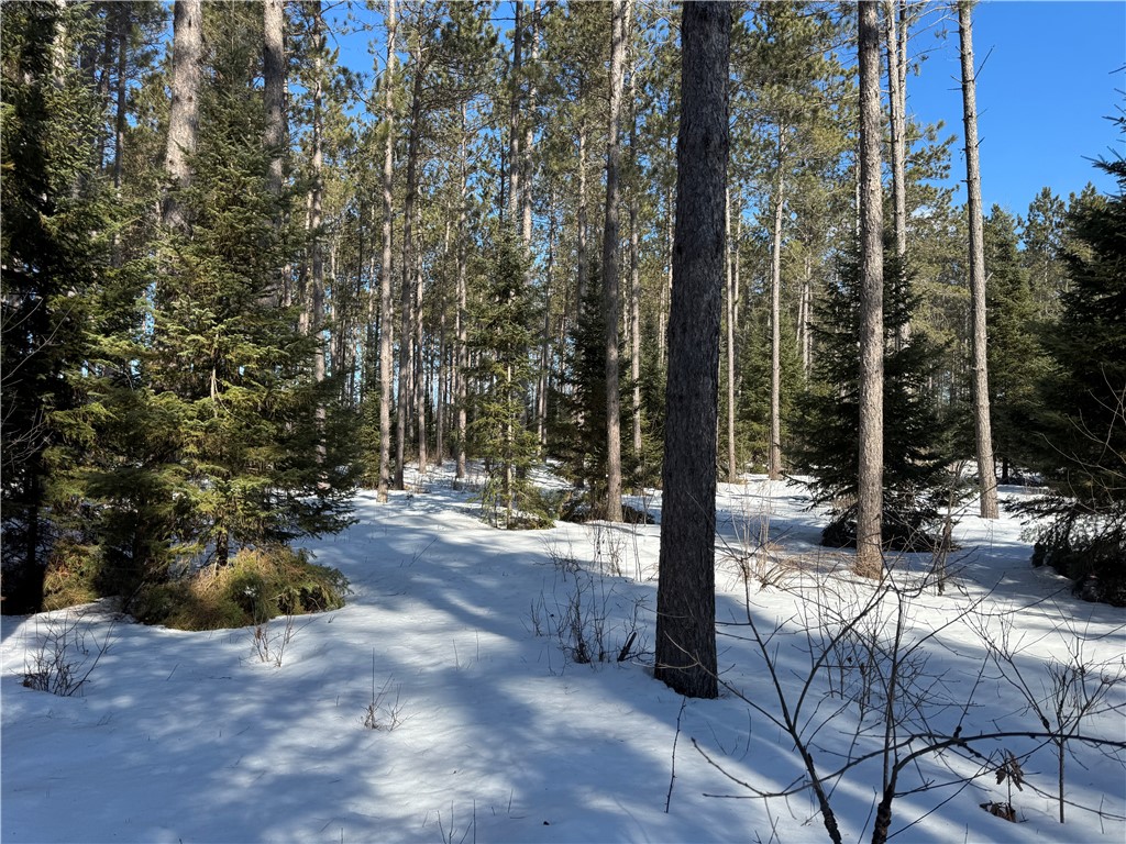 Lot 92 Haakon Lane Hayward WI 54843 1598406 image9