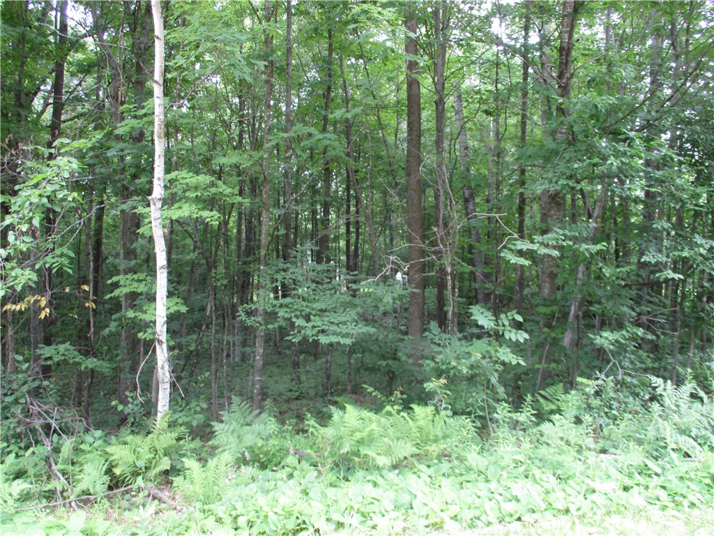 Lot #96 Woods Avenue Birchwood WI 54817 - Red Cedar 1580680 image1