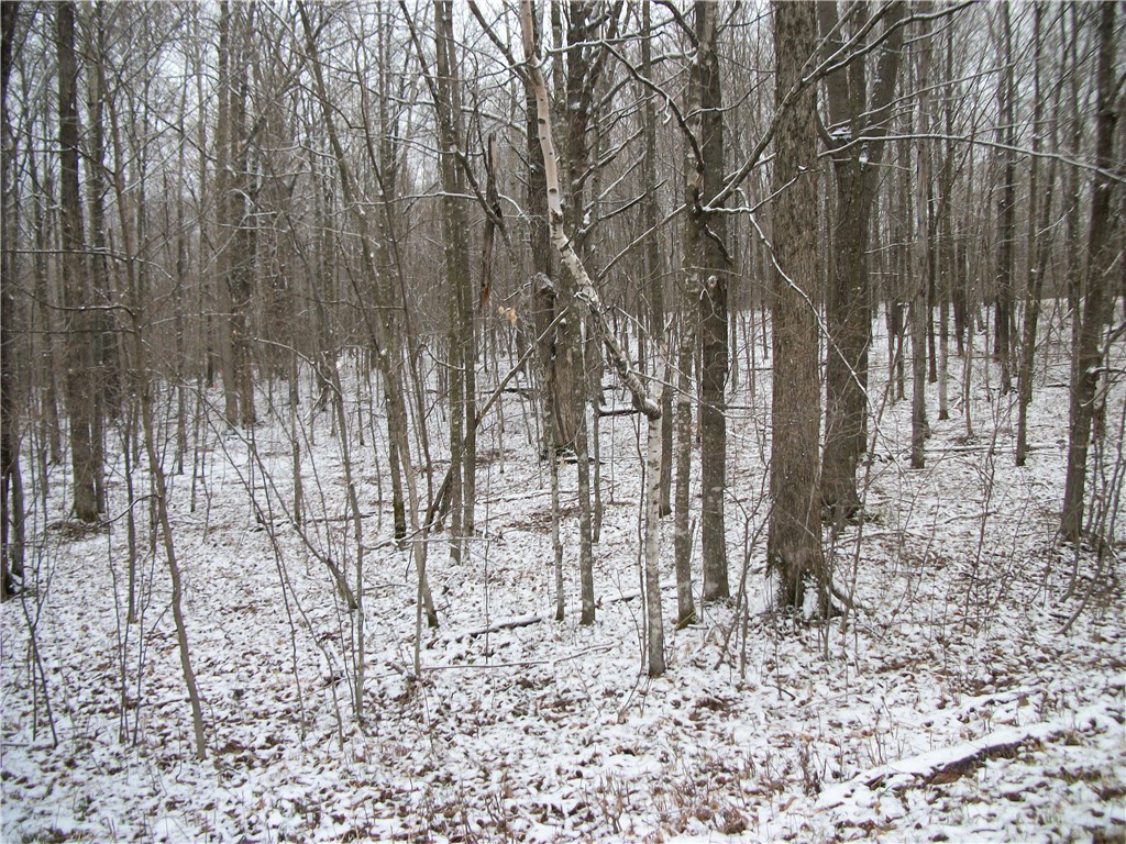 Lot #96 Woods Avenue Birchwood WI 54817 - Red Cedar 1580680 image2