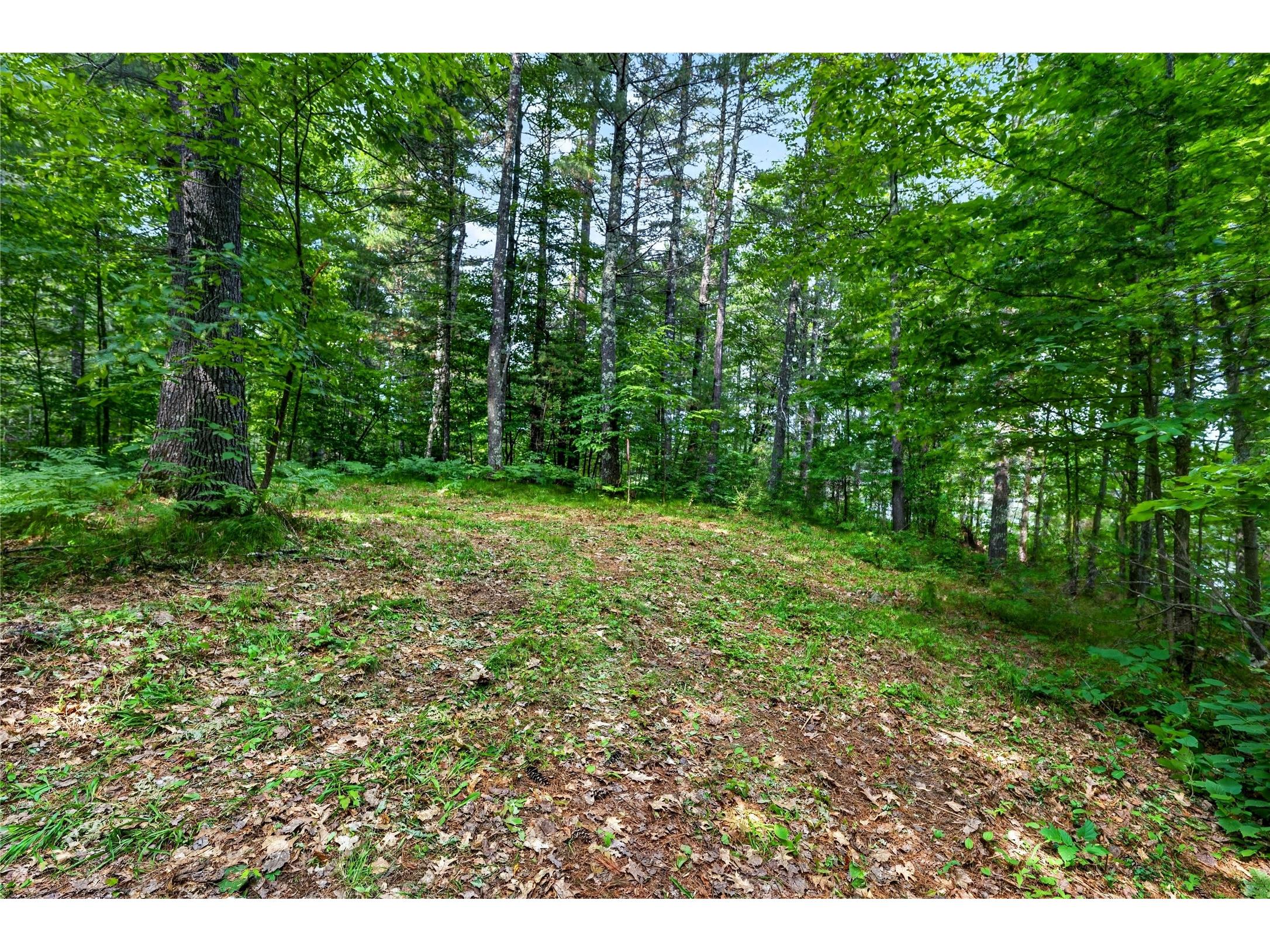 Lot A 9 Acres Us Highway 63 Drummond WI 54832 - Picture 1602880 image18